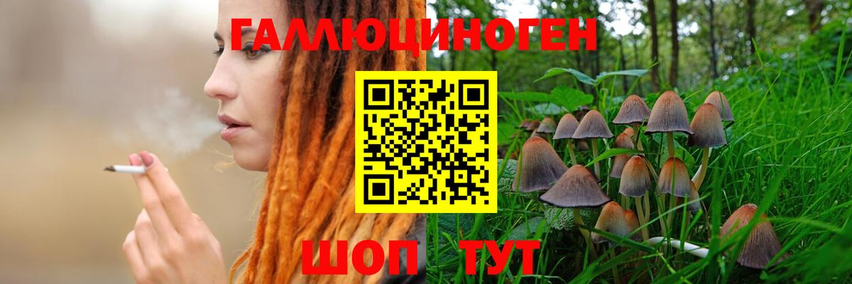 Псилоцибиновые грибы Psilocybine cubensis  купить наркотик  Псилоцибиновые грибы мухоморы  Орехово-Зуево  Вход с VPN 